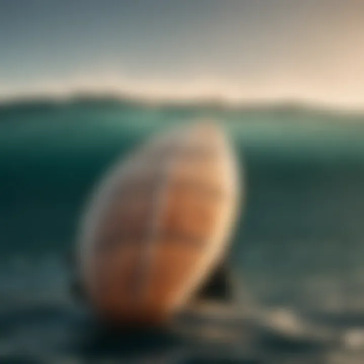 Magnificent Understanding the FCS 2 Single Fin: Design, Performance, and Applications