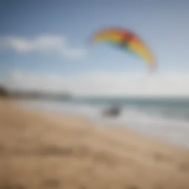 Various types of power kites displayed on a sandy beach, showcasing options