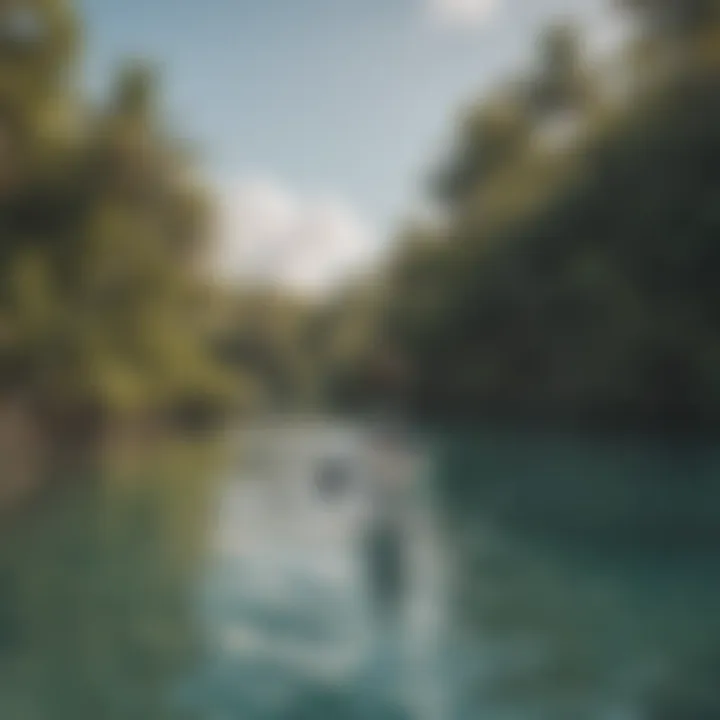 A serene beach with paddleboarders enjoying the calm sea