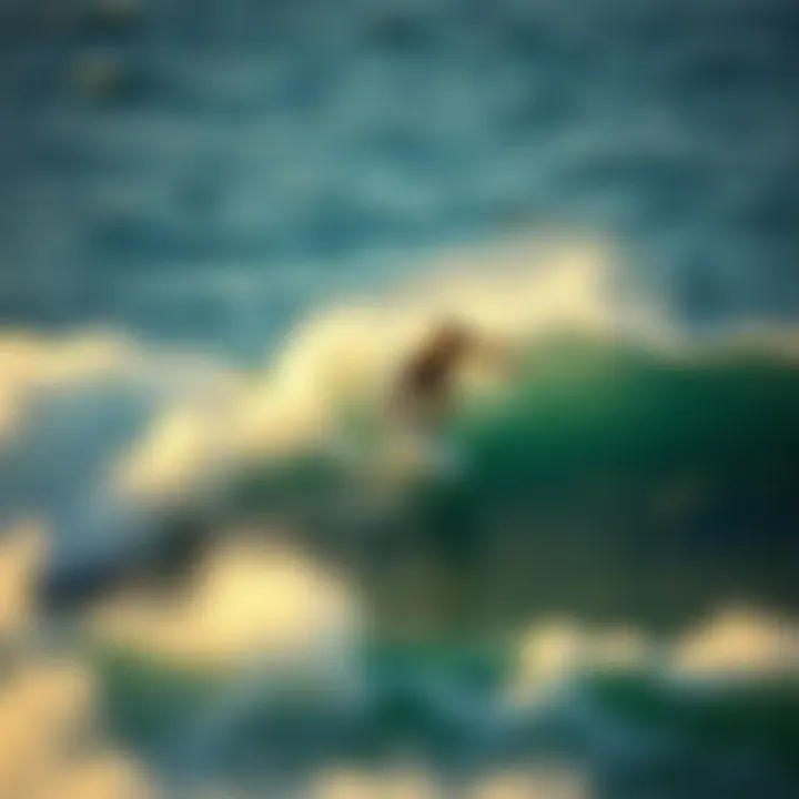 A surfer riding a wave on a performance board