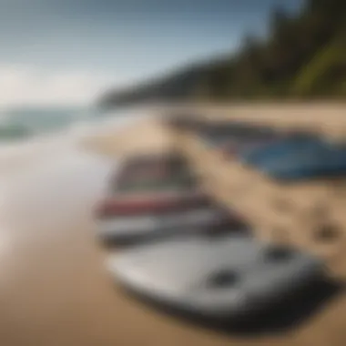 Different types of boogie boards displayed on a beach