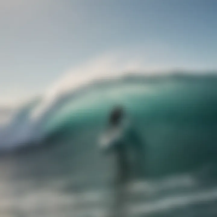 A surfer riding a wave, demonstrating the performance of a budget-friendly surfboard in action.