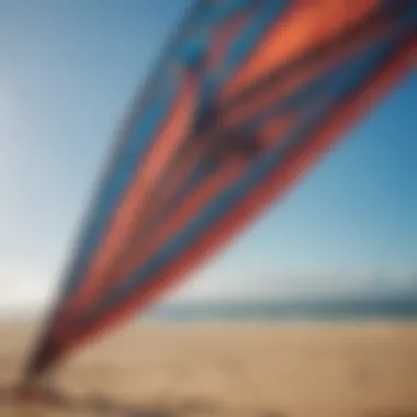 Close-up view of the intricate design and fabric of a trainer kite