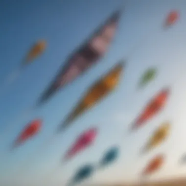 A close-up of various kite types on display