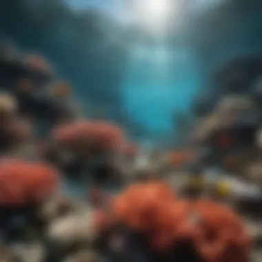 A Lively Coral Reef Underwater view of a vibrant coral reef teeming with marine life