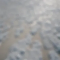 Aerial view of a salt flat by the ocean