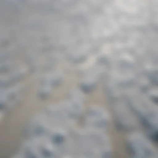 Aerial view of a salt flat by the ocean