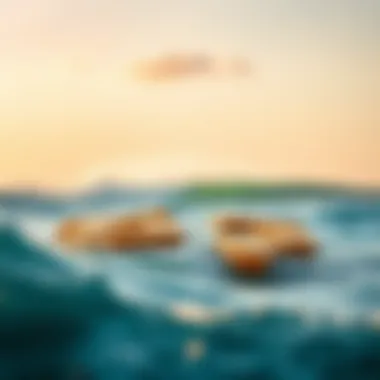 Illustration depicting ecological factors influencing surf patch formation