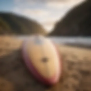 Ben Gravy surfboard resting on the sand with a scenic ocean backdrop