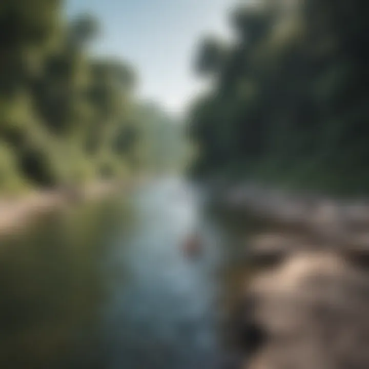 An inviting riverbank scene, featuring swimmers enjoying the refreshing water.