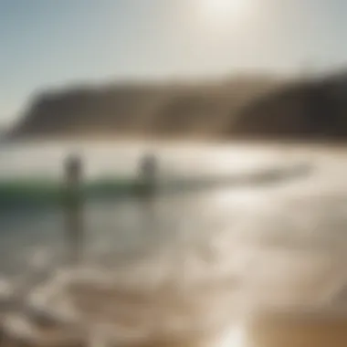 A group of surfers enjoying a sunny day at Malibu beach