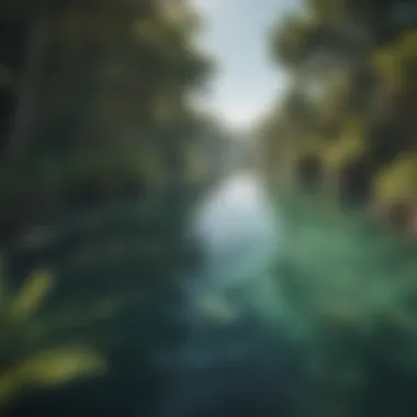 Lagoon Bliss: Where Water Meets Serenity A peaceful lagoon surrounded by lush greenery