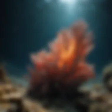 Geological Wonders: The Mysteries Beneath the Waves Unique geological formations found in the deep sea