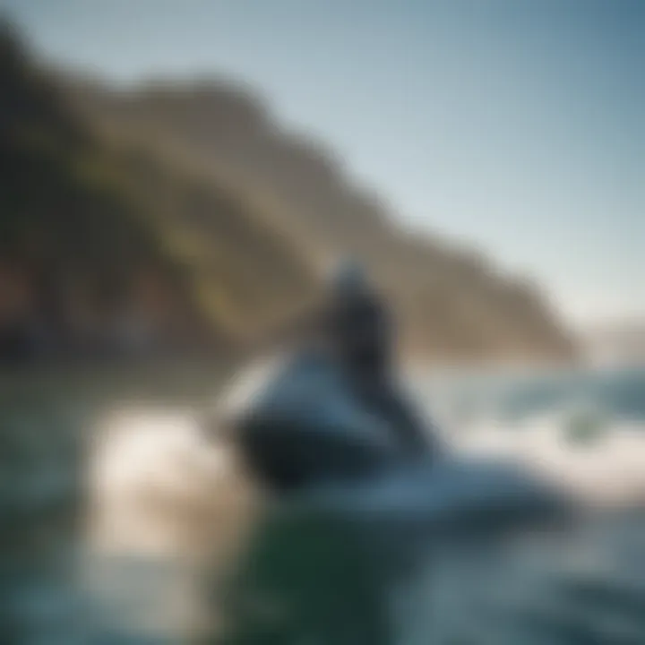 An eco-conscious jet skier navigating the serene waters of the bay.