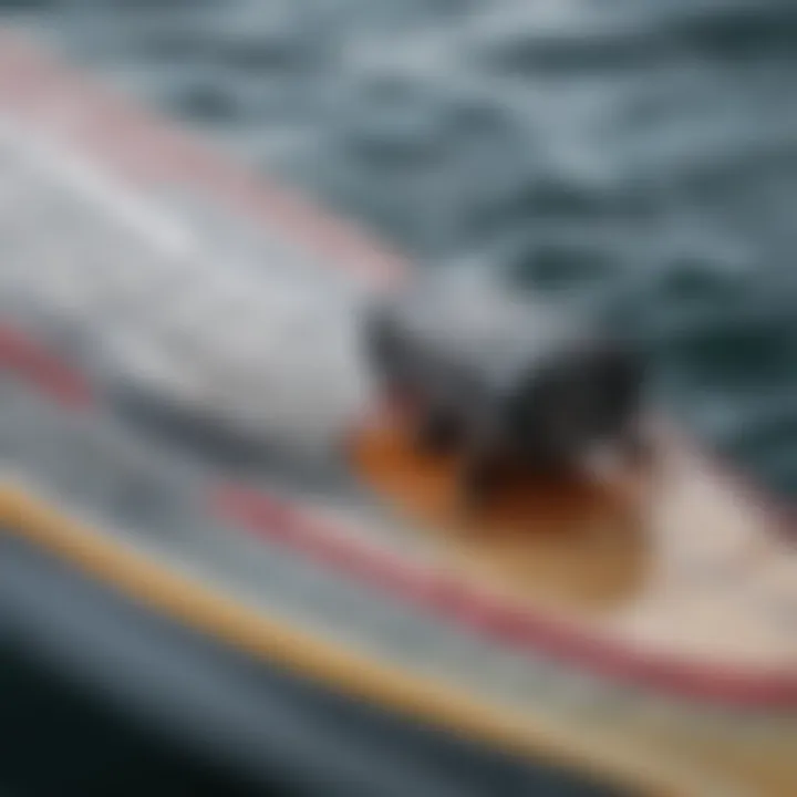 Close-up of a surfboard's motorized system, highlighting the intricate design and components