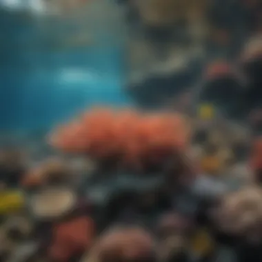 Coral Reef Biodiversity A stunning coral reef teeming with diverse marine life