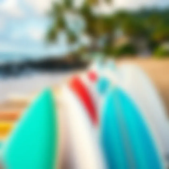 A close-up of surfboards lined up on the beach