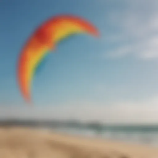 Colorful soft kites soaring high in the sky over a beach