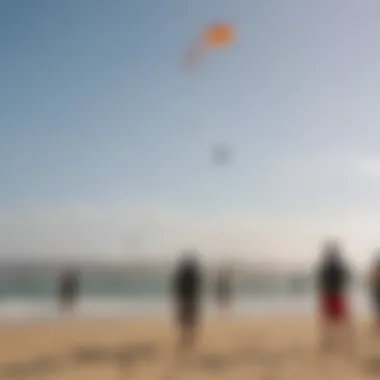 Enthusiasts flying soft kites at a watersport event