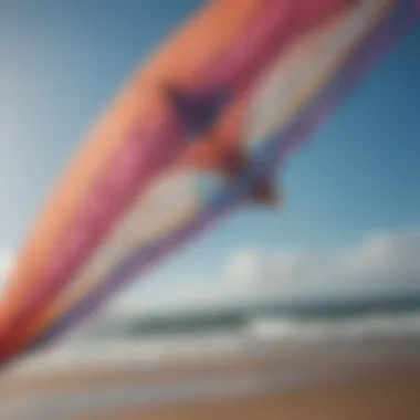 Close-up of the intricate design of a soft kite