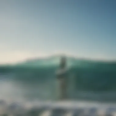 Group of surfers enjoying a day on the water