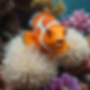 Close-up of a clownfish nestled among anemones in a coral reef.