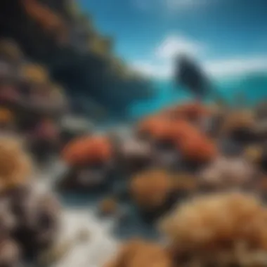 Coral Reef Conservation Efforts Marine conservationists working to restore coral reefs.