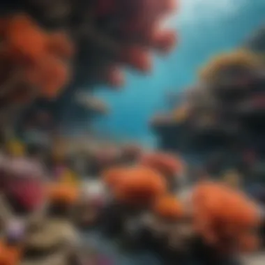 Vibrant Coral Reef Ecosystem A vibrant coral reef teeming with diverse marine life.