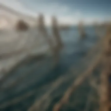 Different Types of Fishing Nets in Use Diverse fishing nets floating on the ocean surface