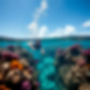 Adventurous snorkeling experience in colorful coral reefs