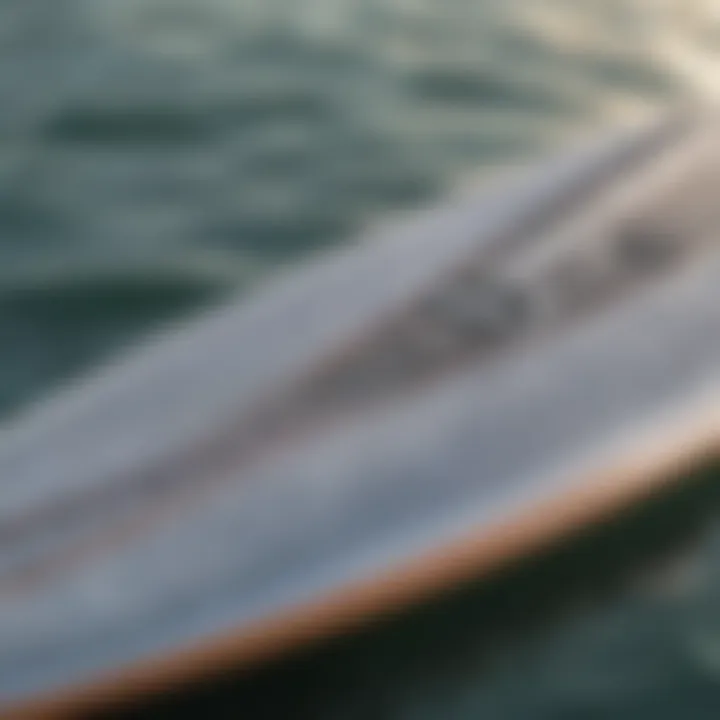 A detailed view of foil surfboard components and setup