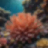 A vibrant coral reef bustling with life