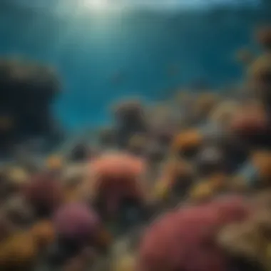 The Spectacular Biodiversity of the Ocean A diverse range of ocean species