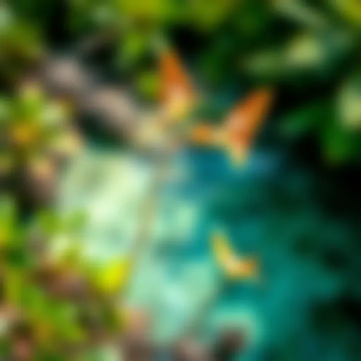 Local flora and fauna found along the coastline of Ke Iki Beach