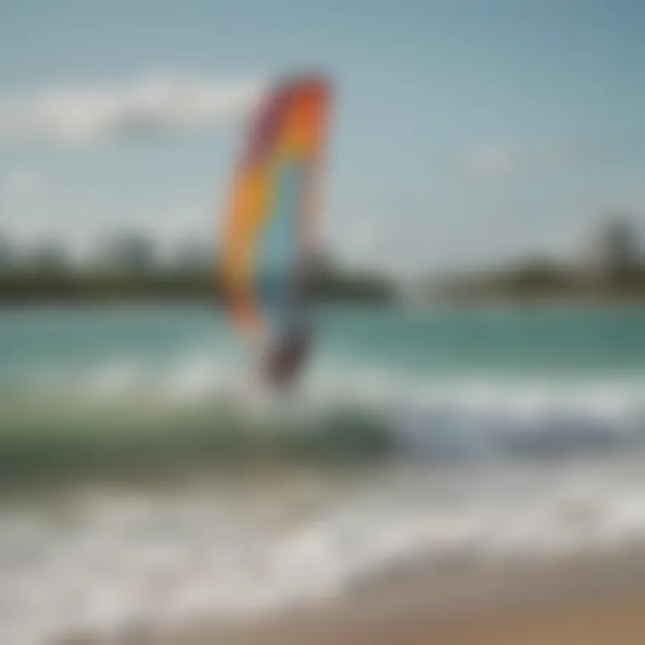 A vibrant kite surfing community enjoying the beach