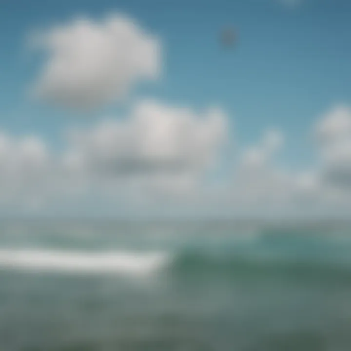 A panoramic view of a popular kite surfing spot in Miami