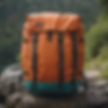 Comparative Analysis of Backpack Options Comparison of Patagonia Duffel Backpack with other bags