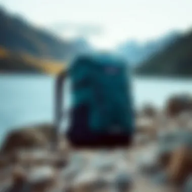 Sleek Design of Patagonia Refugio 26L Patagonia Refugio 26L backpack showcasing its sleek design