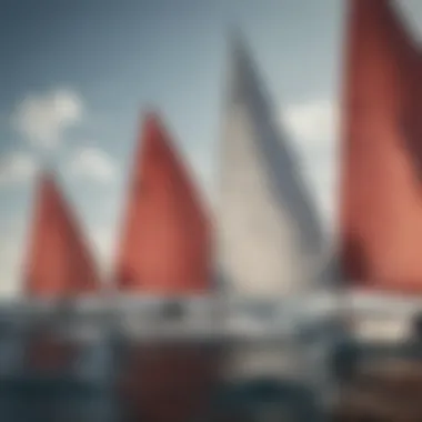 Meanings of Sail Race Flags Illustrated Illustration showcasing the meanings of different sail race flags