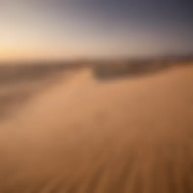 A sandboarder carving through the dunes at sunset