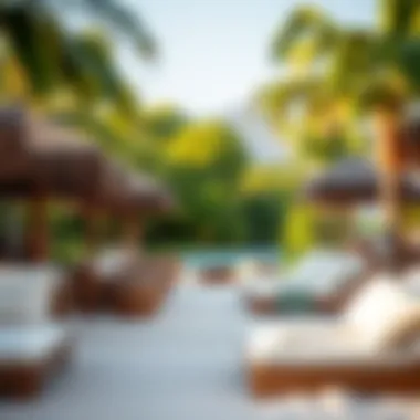 Relaxation spaces at the Sun Bum Sand Bar surrounded by nature.