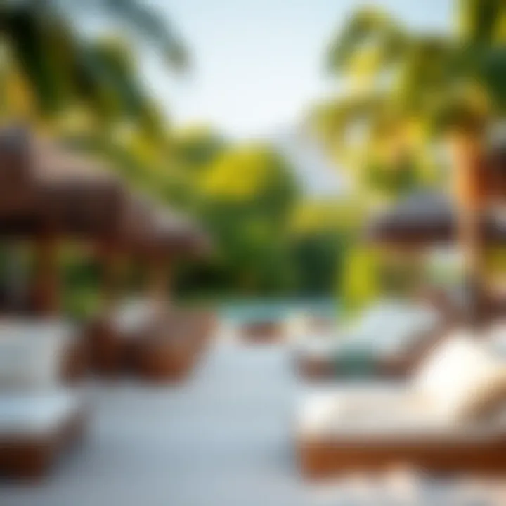 Relaxation spaces at the Sun Bum Sand Bar surrounded by nature.