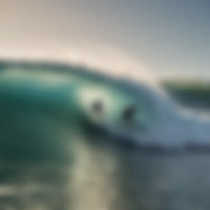 Surfers enjoying an exhilarating session on a wave simulator