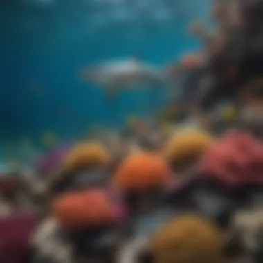 Diversity of Shark Species in Coral Ecosystems Colorful coral reef teeming with diverse shark species.