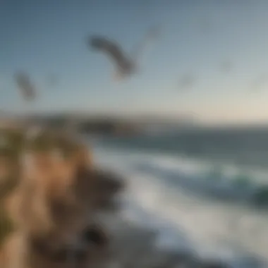 Seagulls soaring above a serene coastal landscape