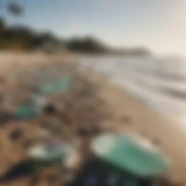 Community cleanup event on a beach focused on removing litter