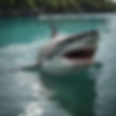 Conservation Efforts for Sharks A captivating image illustrating conservation efforts for shark preservation.