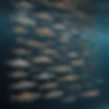 Evolutionary History of Sharks An artistic representation of a shark's evolutionary timeline.
