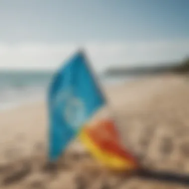 Educational poster on beach flag meanings