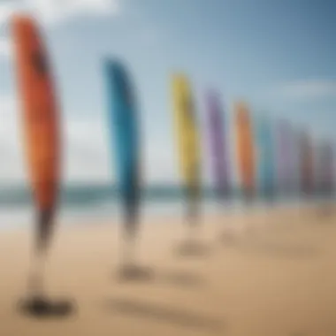 Diverse Types of Kiteboard Kites Various types of kiteboard kites displayed in a lineup, highlighting differences in shape and size